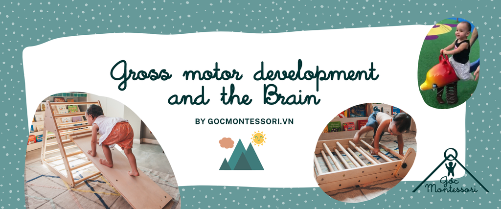 GROSS MOTOR DEVELOPMENT AND THE BRAIN