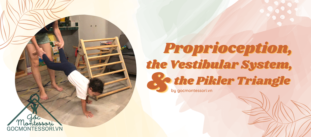 PROPRIOCEPTION, THE VESTIBULAR SYSTEM, AND THE PIKLER TRIANGLE