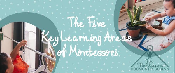 THE FIVE KEY LEARNING AREAS OF MONTESSORI