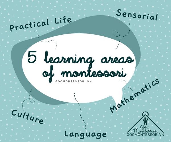 Góc Montessori - 5 lĩnh vực học tập cơ bản của Montessori