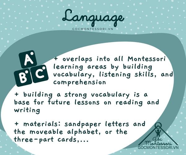 Góc Montessori - 5 lĩnh vực học tập cơ bản của Montessori