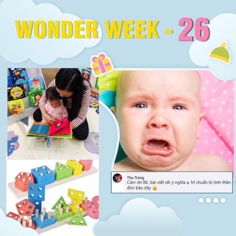 WONDER WEEK 26