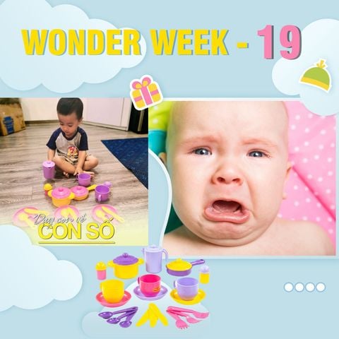 WONDER WEEK 19