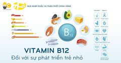 Tầm Quan Trọng Của Vitamin B12 Đối Với Sự Phát Triển Của Trẻ