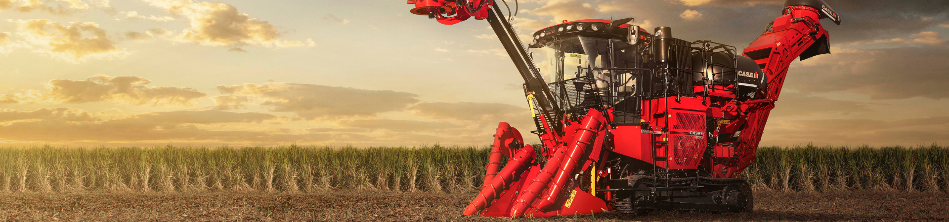 Phụ tùng máy thu hoạch mía Case IH
