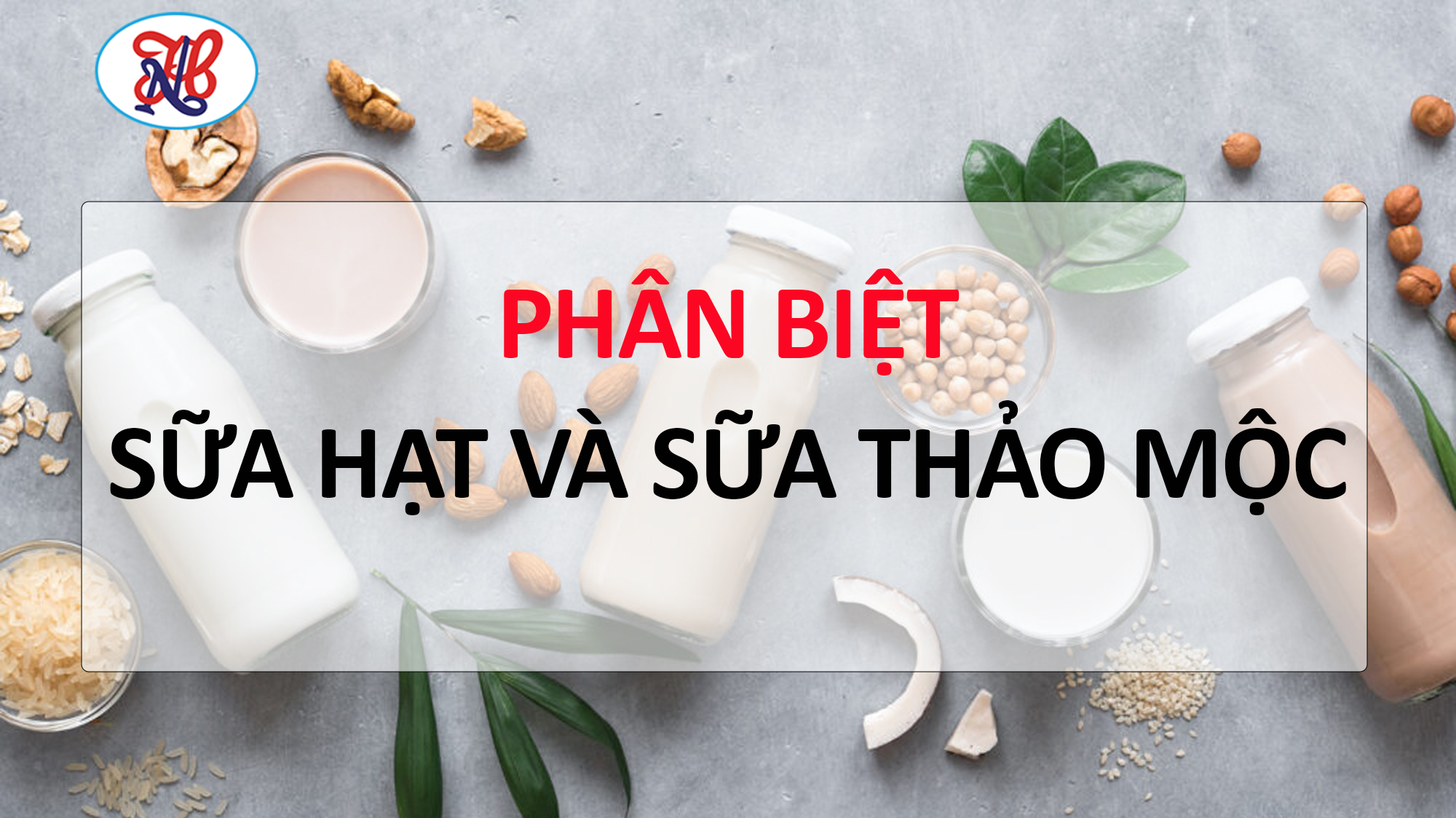 🥛 Phân biệt sữa thảo mộc và sữa hạt