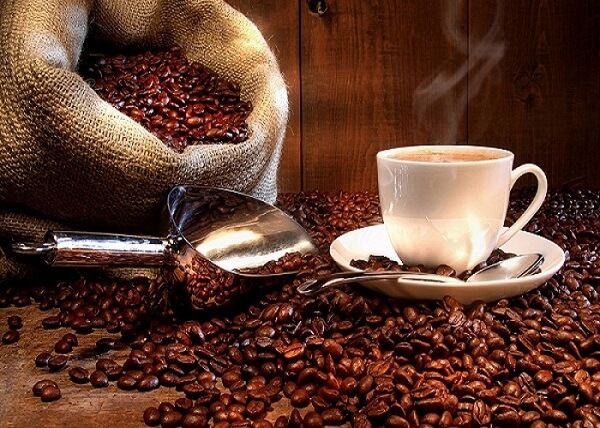 Cà phê Bourbon được xem là giống cafe thơm ngon hàng đầu của Việt Nam