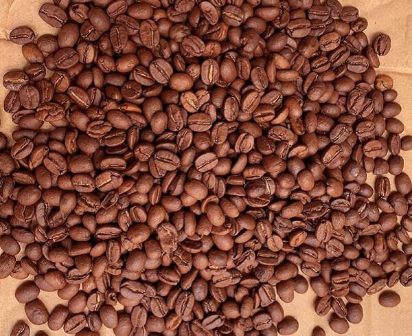 Cà phê Typica là một trong những giống cà phê lâu đời nhất