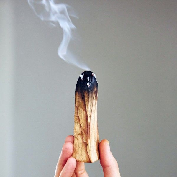 8 Công dụng và Lợi ích của gỗ Trắc Xanh (Palo Santo)