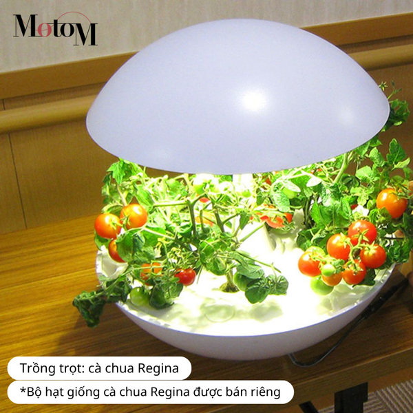 Hộp đèn trồng cây Akarina – món quà ý nghĩa cho bé nhân dịp mùng 1/6