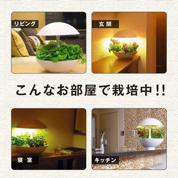 Đèn Trồng Cây Thủy Canh Akarina - Giải Pháp Trồng Cây Sạch Không Cần Thuốc Bảo Vệ Thực Vật