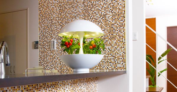 Hướng dẫn trồng rau thủy canh với đèn trồng cây thủy canh AKARINA OMA01