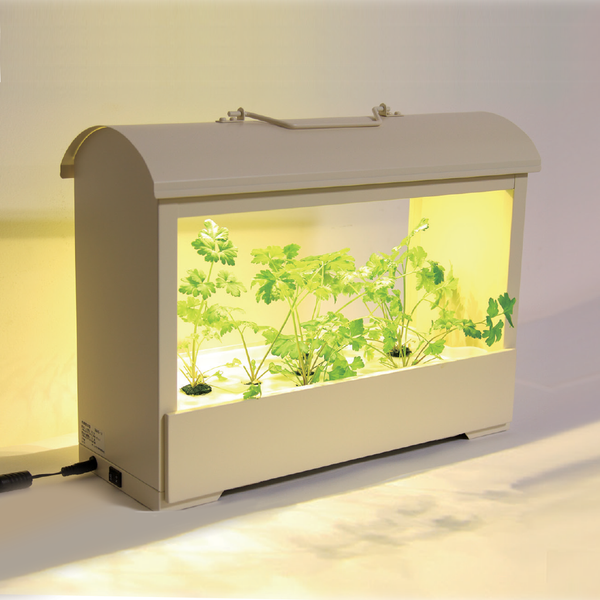 Hướng dẫn trồng rau thủy canh với đèn trồng cây thủy canh AKARINA OMA05 và OMA06