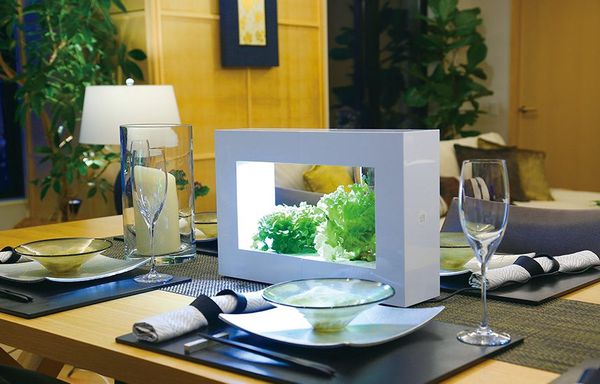 Đèn trồng cây thủy canh siêu nhỏ gọn OMA14