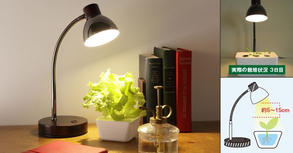 Đèn LED để bàn vừa có thể trồng cây vừa có thể giúp đọc sách GS1704