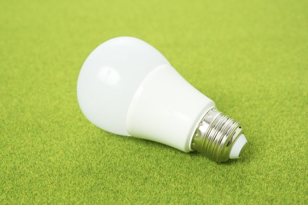 Có nên sử dụng đèn LED để trồng cây? Giới thiệu cách chọn và mua đèn LED trồng cây