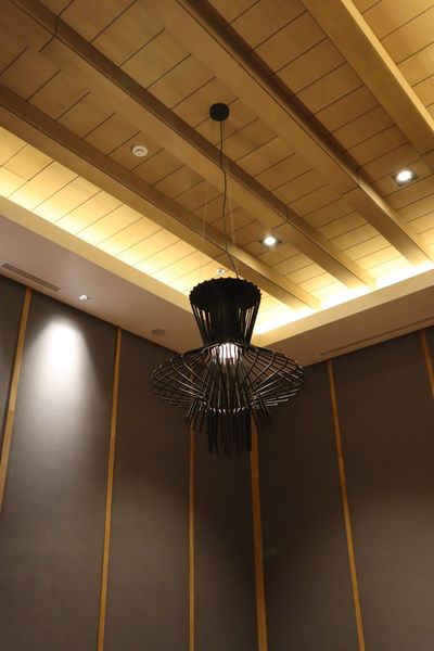các dòng đèn LED sử dụng cho dự án Khách sạn Nikko Hải Phòng - Đèn treo trang trí - Đèn Pendant trang trí