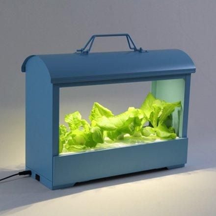 Trồng rau bằng phương pháp thủy canh sử dụng đèn LED! Trải nghiệm thư giãn tuyệt vời với không gian xanh