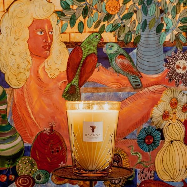 𝗣𝗔𝗟𝗠 - 𝗣𝗔𝗟𝗠𝗔 | 𝗕𝗔𝗢𝗕𝗔𝗕 𝗖𝗢𝗟𝗟𝗘𝗖𝗧𝗜𝗢𝗡