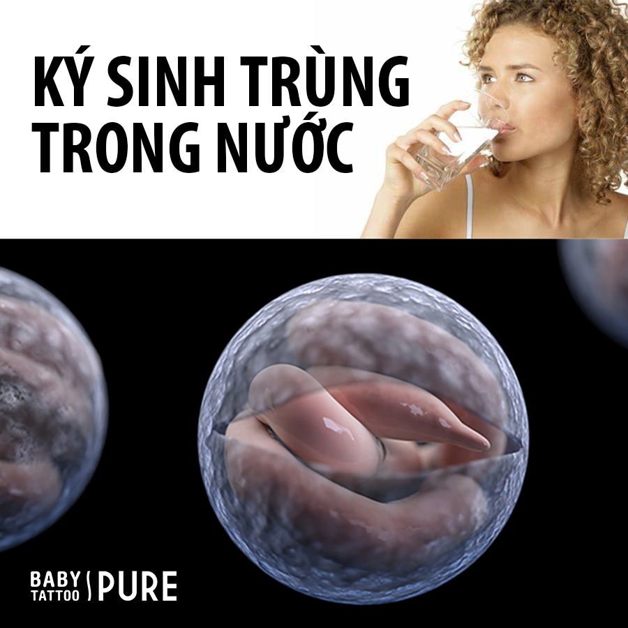 Các loại kí sinh trùng có trong nguồn nước ô nhiễm