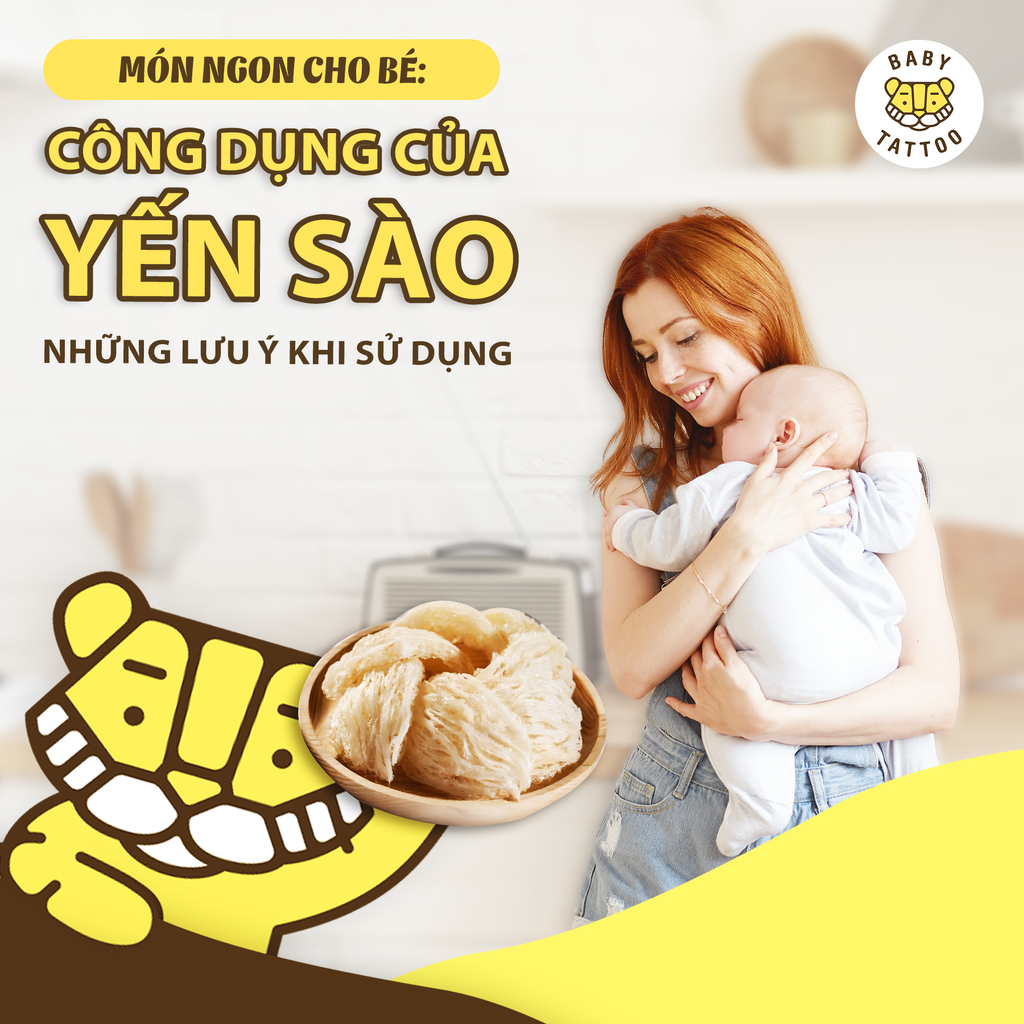 Món Ngon Cho Bé: Công Dụng Của Tổ Yến Và Những Lưu Ý Khi Sử Dụng