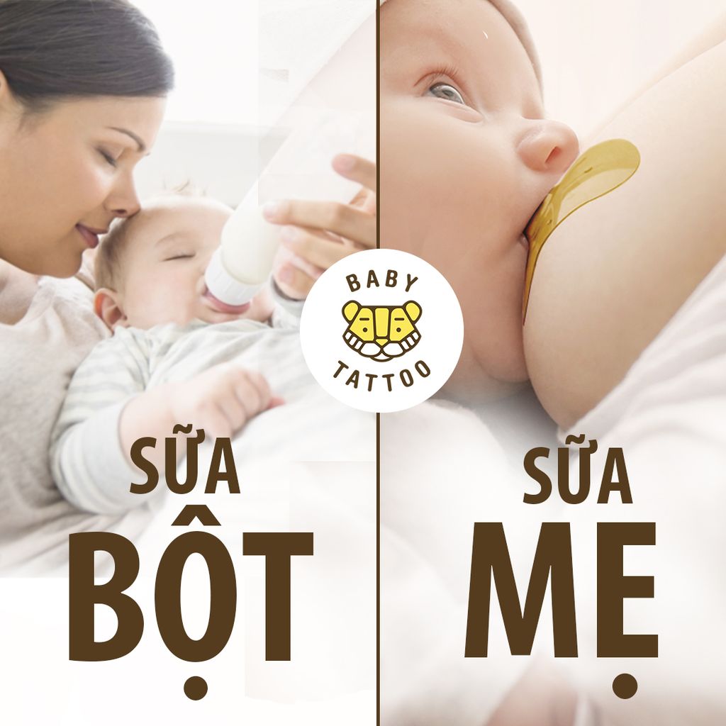 SỮA BỘT và SỮA MẸ [Phần 1]