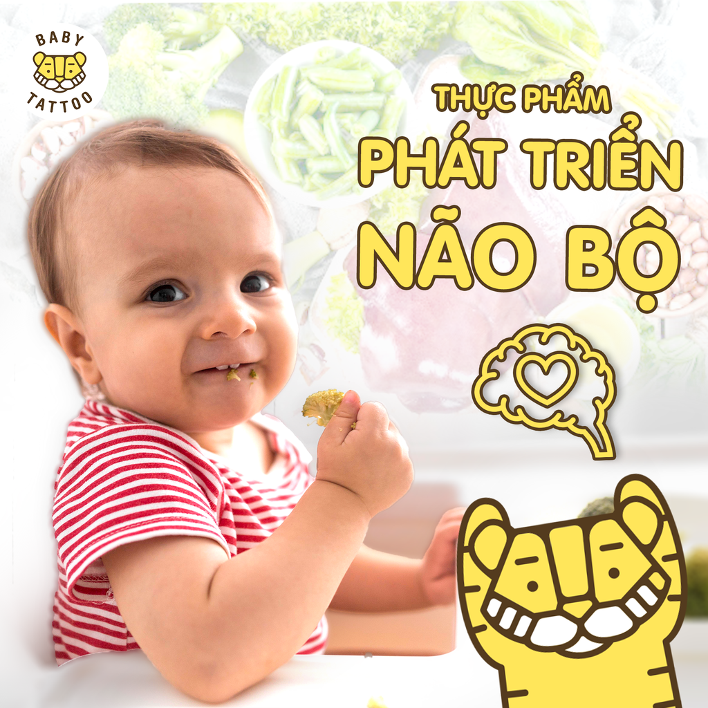 Các Loại Thực Phẩm Phát Triển Não Bộ.
