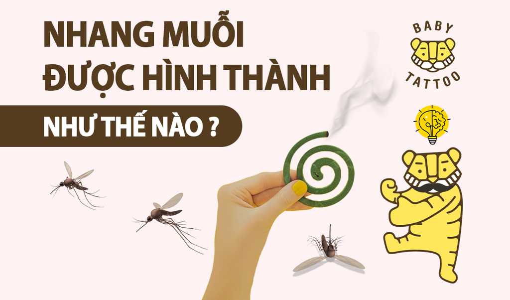Nhang muỗi được ra đời như thế nào?