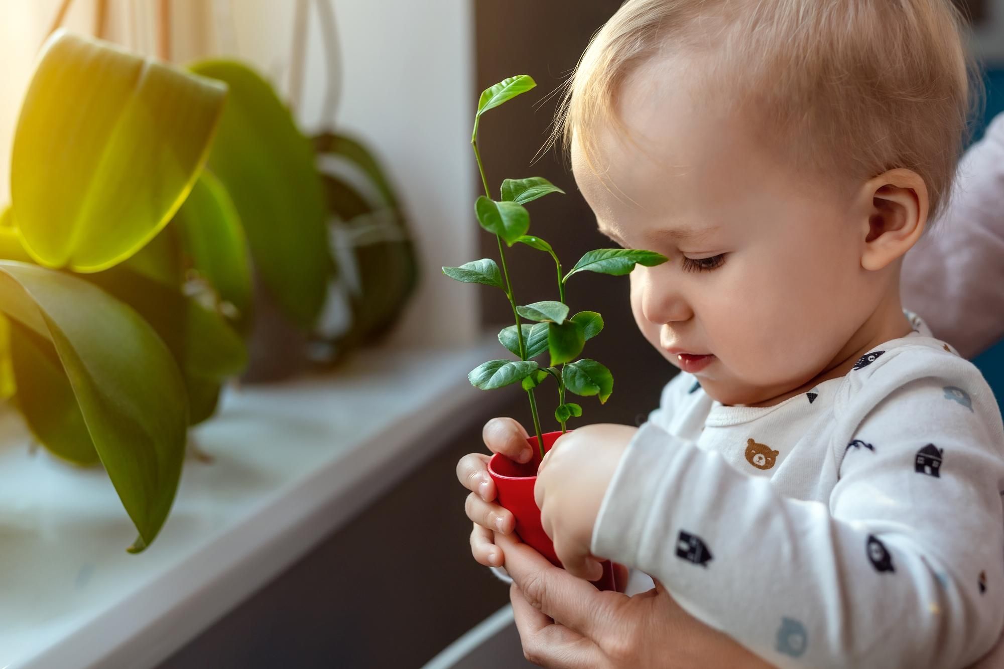 Khám Phá Thế Giới Tự Nhiên Sinh Động Qua Những Món Đồ Chơi Cho Bé