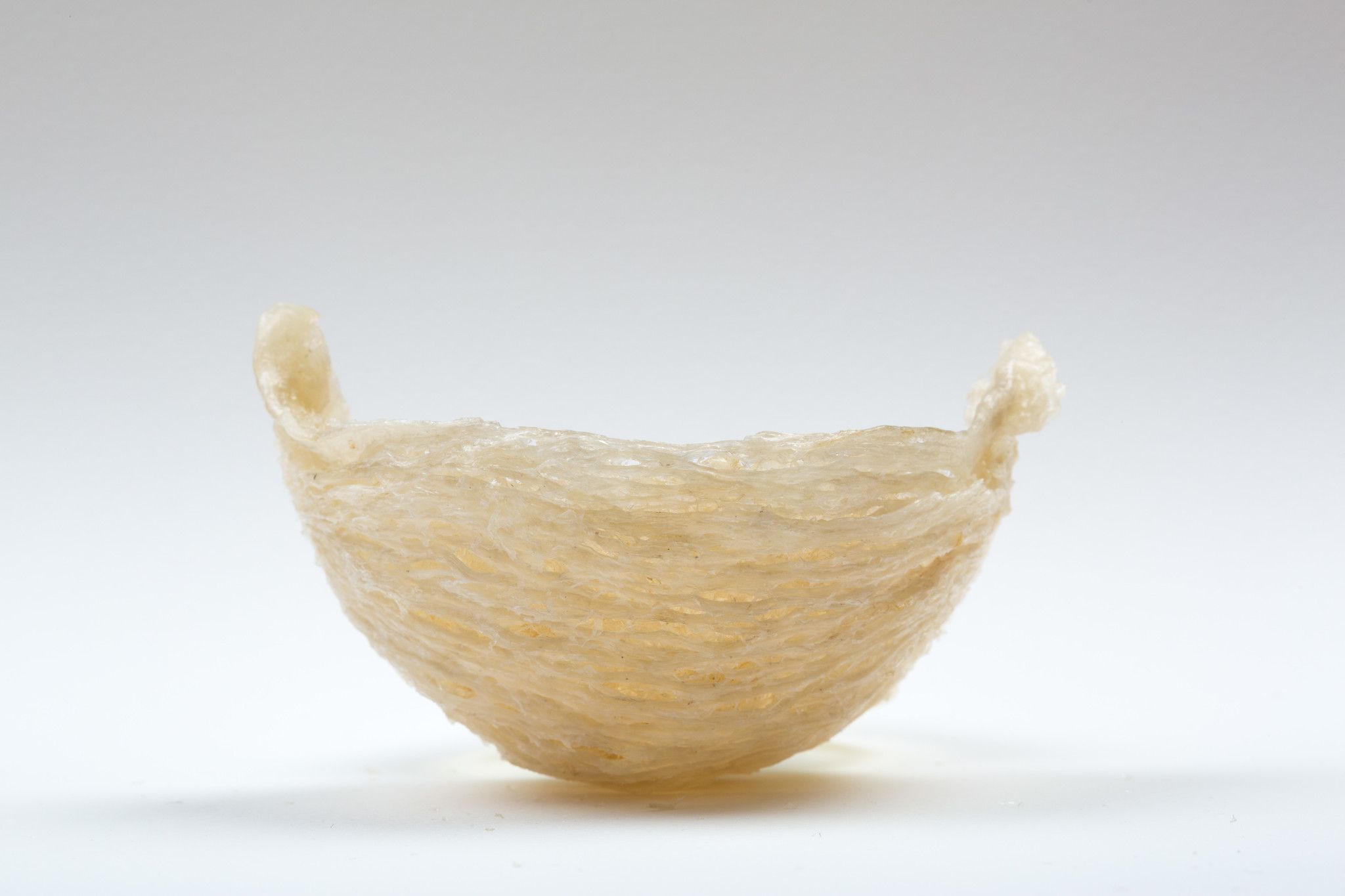 Món Ngon Cho Bé - Tổ Yến
