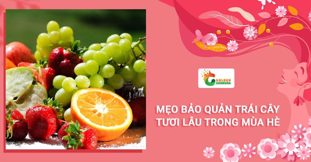 Mẹo bảo quản trái cây tươi lâu trong mùa hè