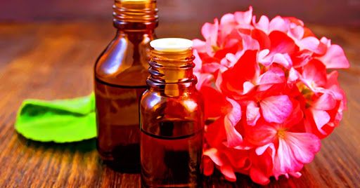 Công Dụng Của Tinh Dầu Phong Lữ