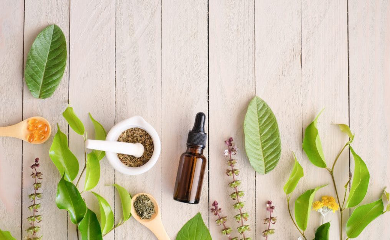 Con đường phát triển