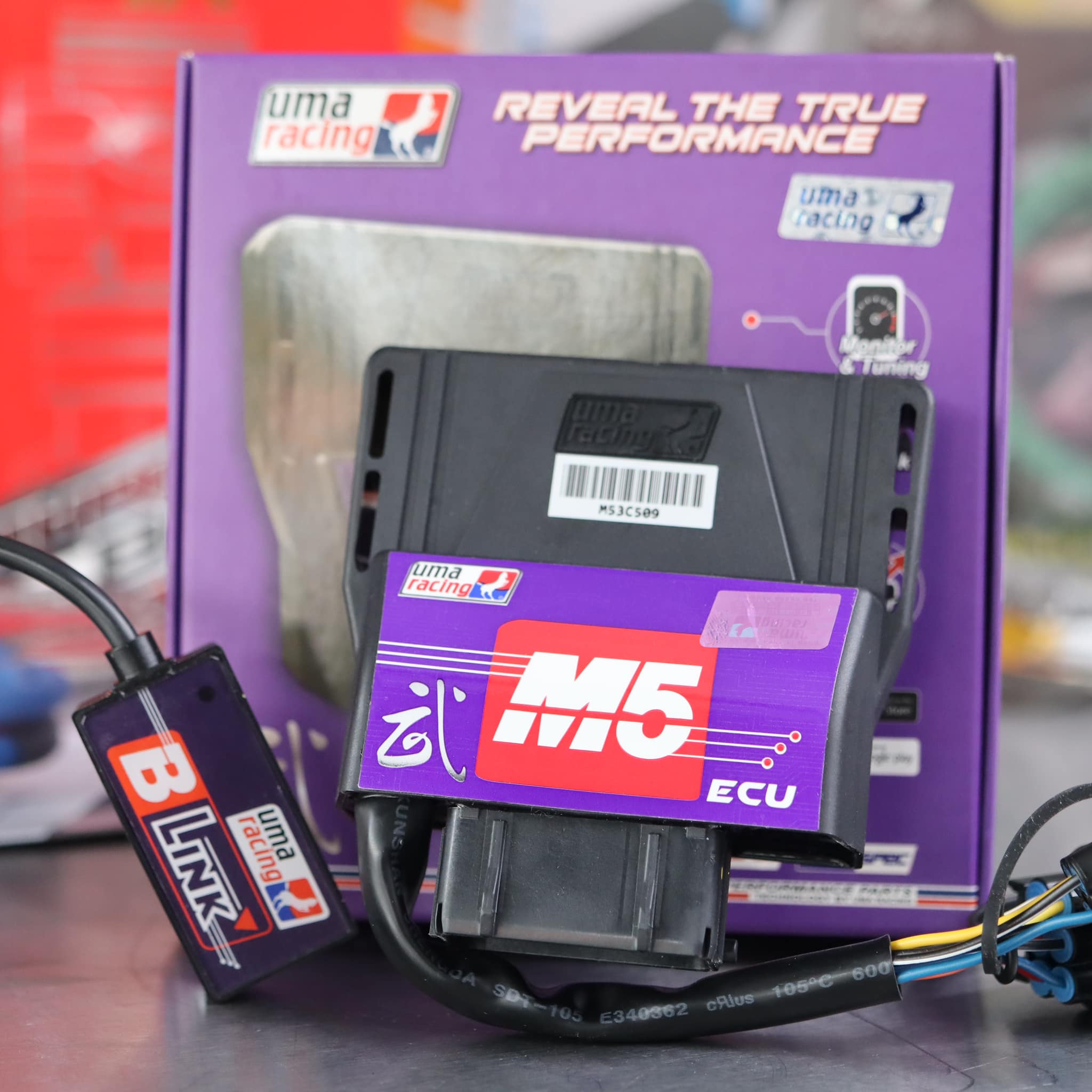 Hướng Dẫn Cài Đặt Phần Mềm REDLEO V-Racing