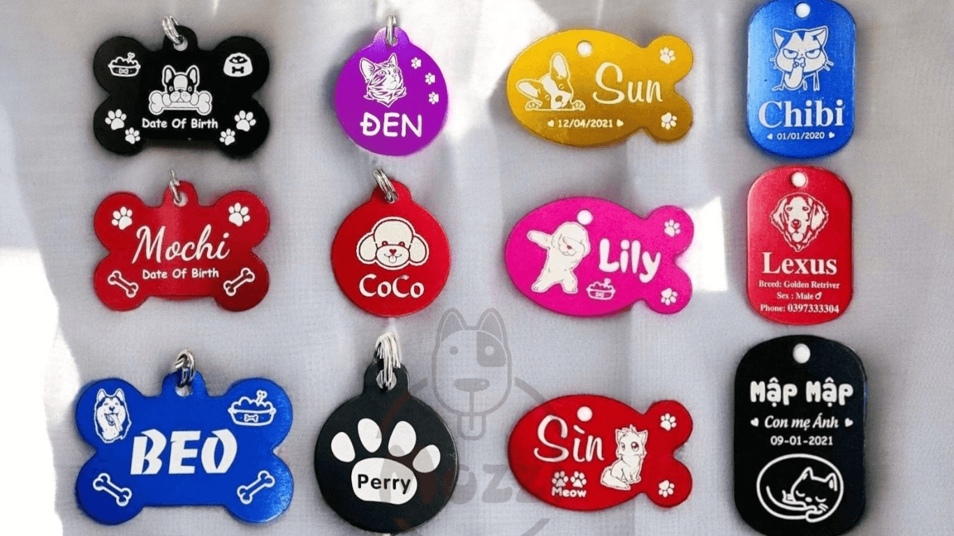 Top 05 bảng tên cho chó mèo được ưa chuộng nhất hiện nay