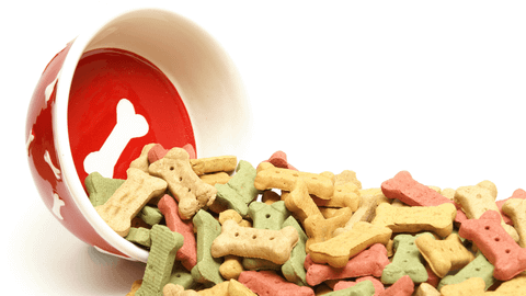 Top 05 bánh thưởng ăn vặt cho chó bạn nên biết