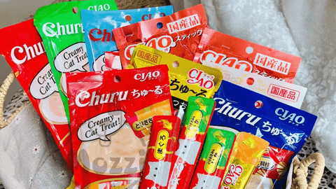 Top 06 lý do nên chọn bánh thưởng ăn vặt cho mèo Ciao