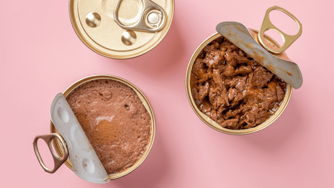 Mẹo bảo quản pate cho mèo lâu hư, không biến chất