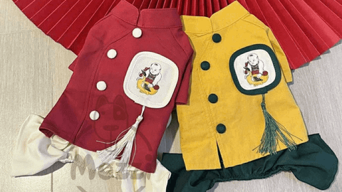 Quần áo chó mèo giá rẻ tại TPHCM – Mẫu mới 2025