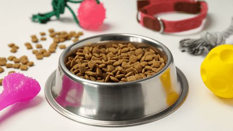 Thức ăn hạt chó mèo giàu dinh dưỡng cho mọi độ tuổi