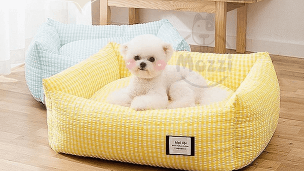 Nệm cho chó mèo giúp nâng cao sức khỏe và chất lượng cuộc sống cho thú cưng