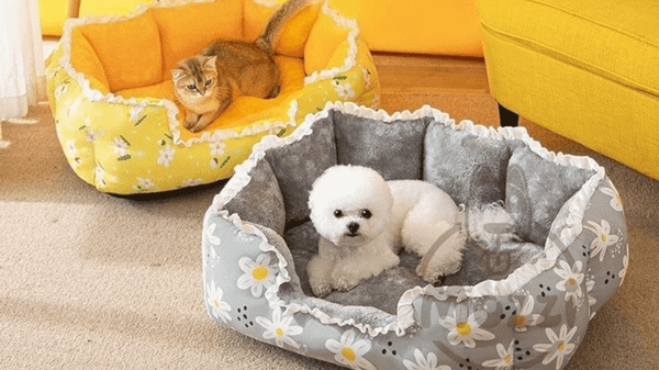 Nệm cho chó mèo có thiết kế đa dạng