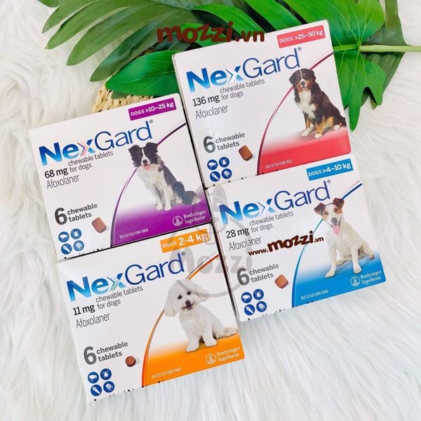 Nexgard Viên nhai trị ve sầu bọ chét