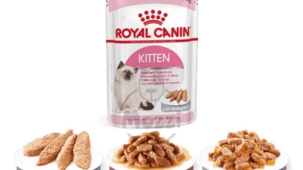 Pate cho mèo Royal Canin Kitten