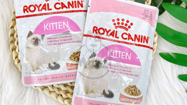 Pate cho mèo con Royal Canin Kitten Pate