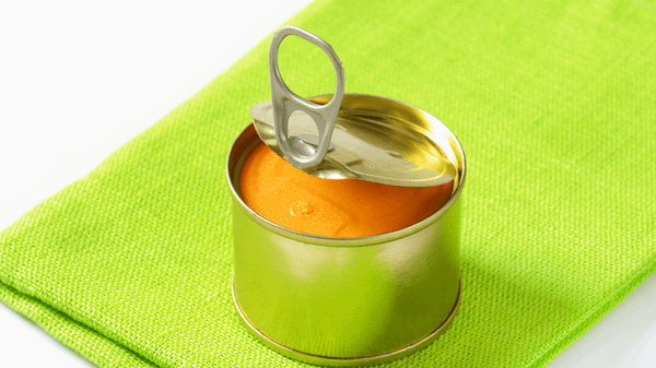 Sử dụng pate tươi cho mèo cần lưu ý những điều quan trọng