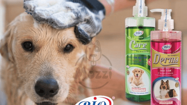 Sữa tắm cho chó Bio Derma Care điều trị ghẻ, nấm, khử mùi hiệu quả