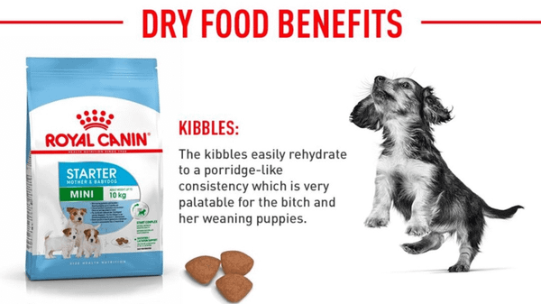 Thức ăn hạt cho chó con Royal Canin Mini Starter