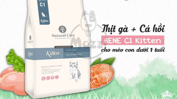 Thức ăn hạt cho mèo con Natural Core Bene C1