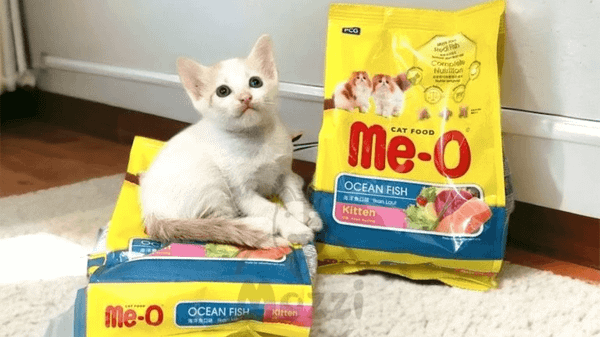 Thức ăn hạt cho mèo con Me-O Kitten Fish